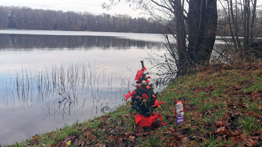 Weihnachtsgruß 2024